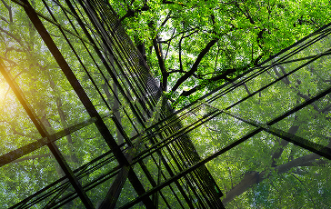 thumb-philosophy-2 thumb-philosophy-2