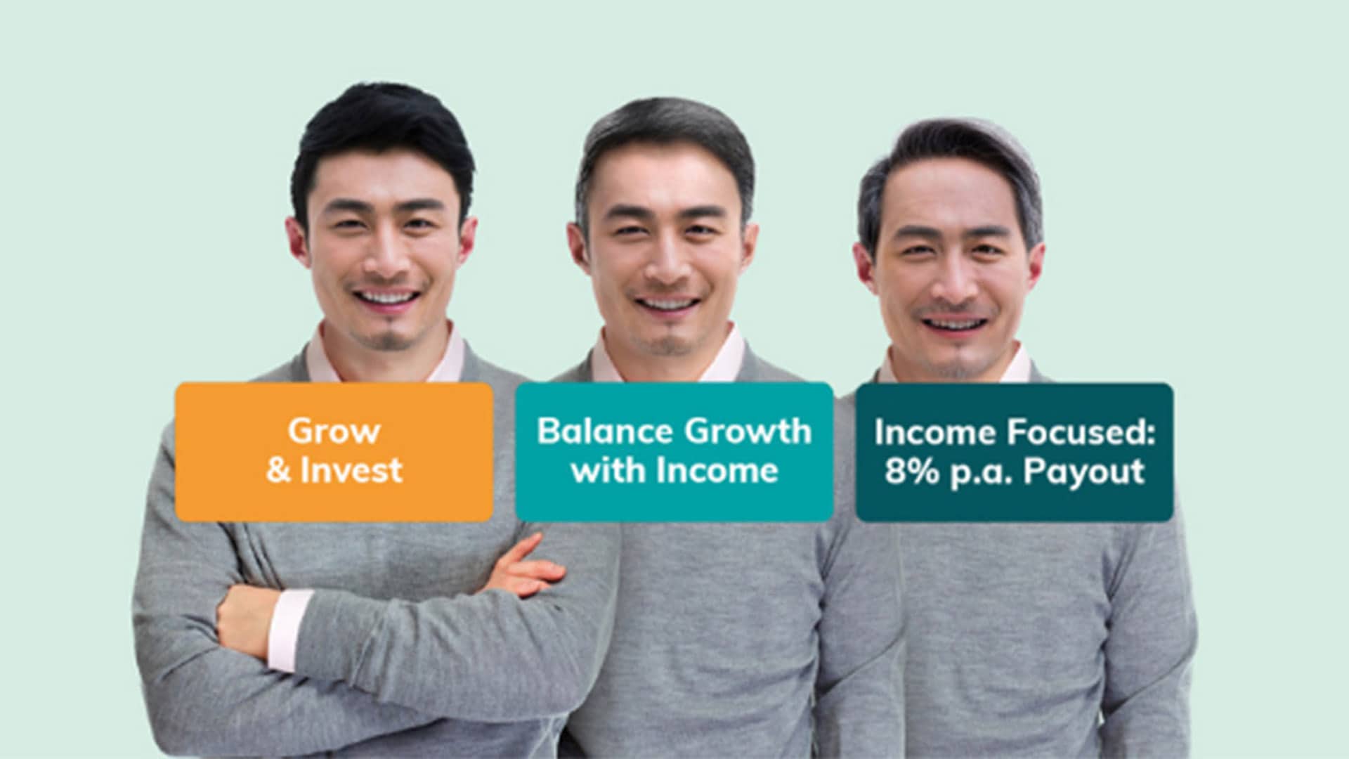 wiseincome-banner